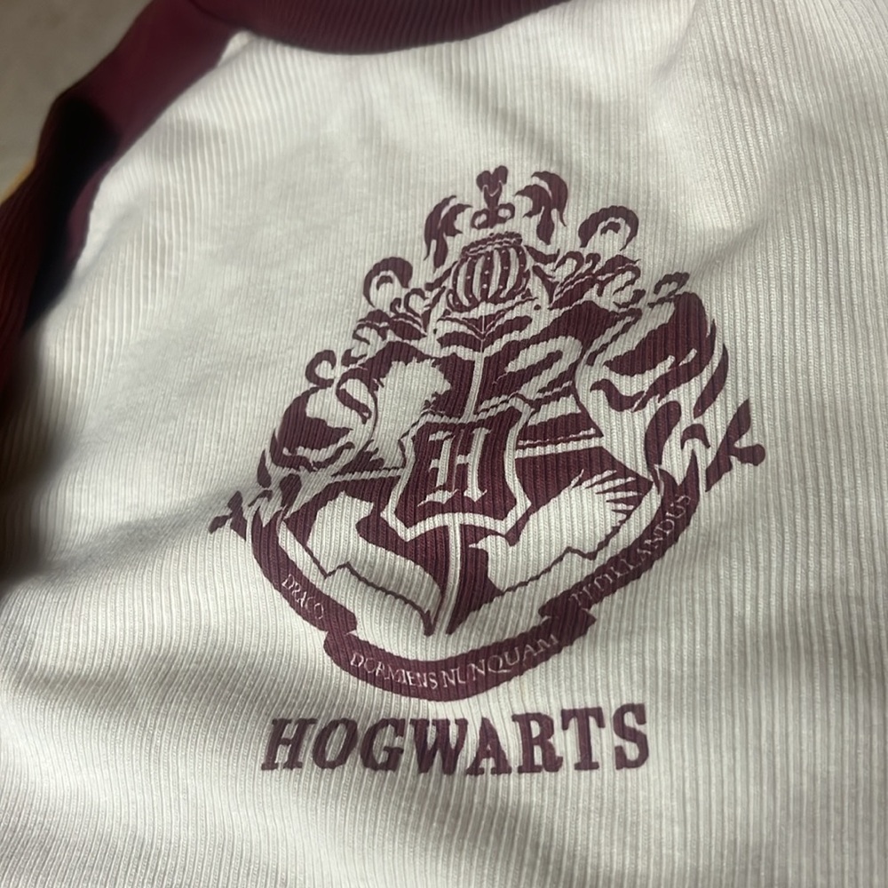 Hogarts Teen Shirt
